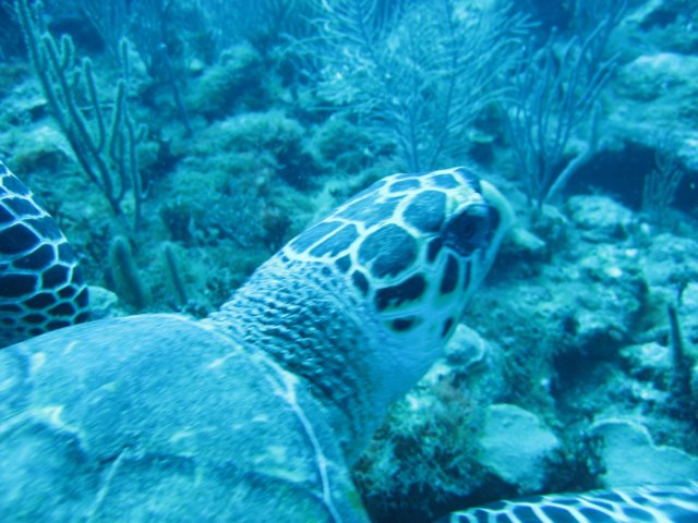 img_3430.jpg