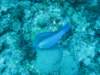 img_3439_small.jpg
