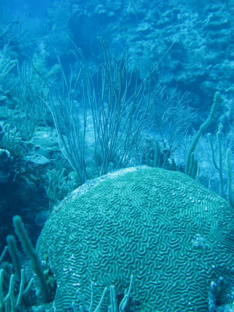 img_3440.jpg