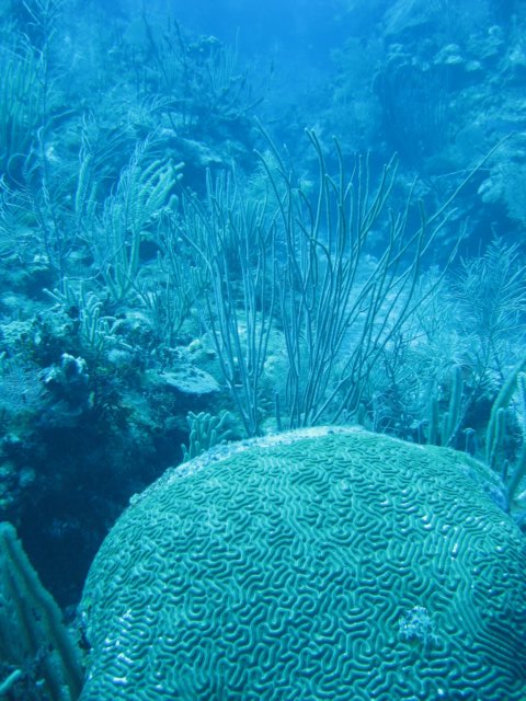 img_3441.jpg