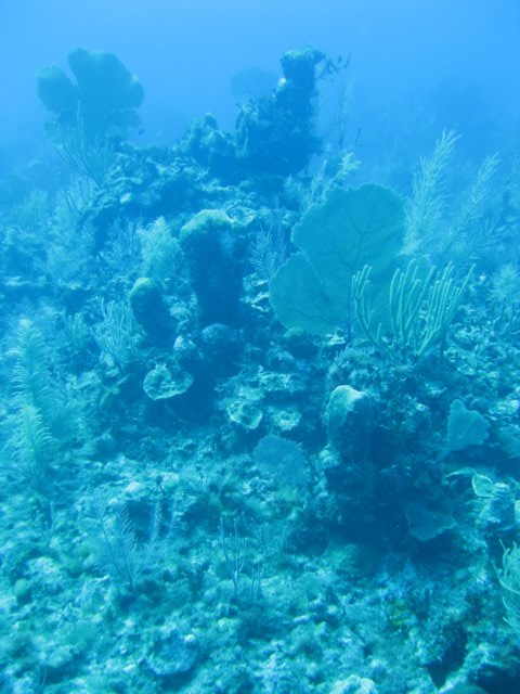 img_3443.jpg