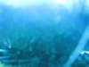 img_3447_small.jpg