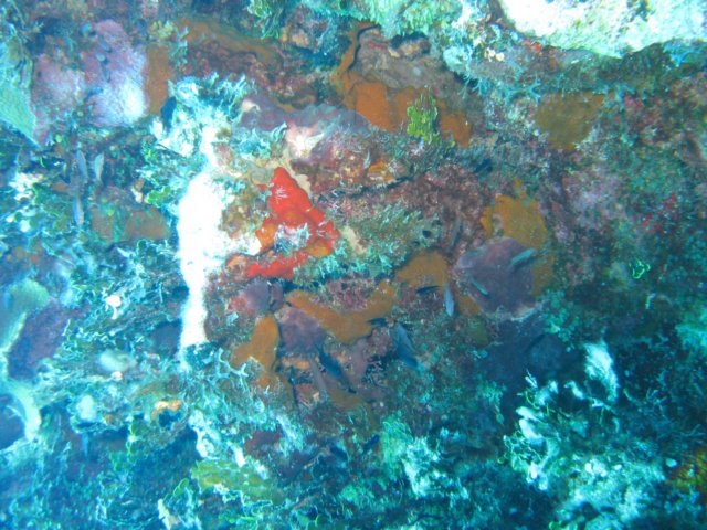 img_3453.jpg