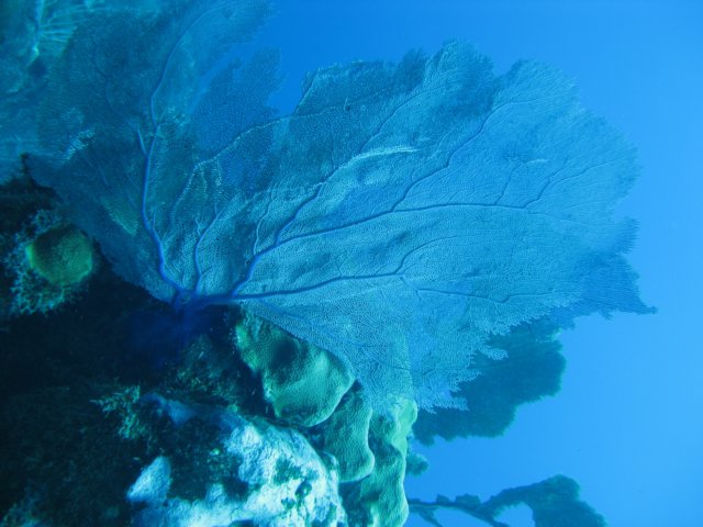img_3456.jpg