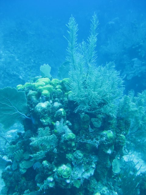 img_3474.jpg