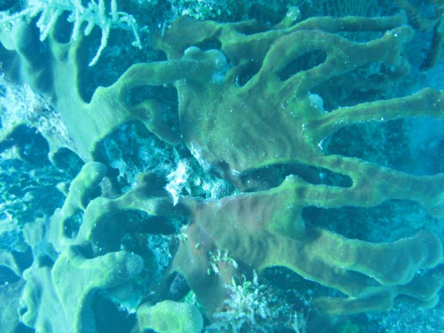 img_3494.jpg