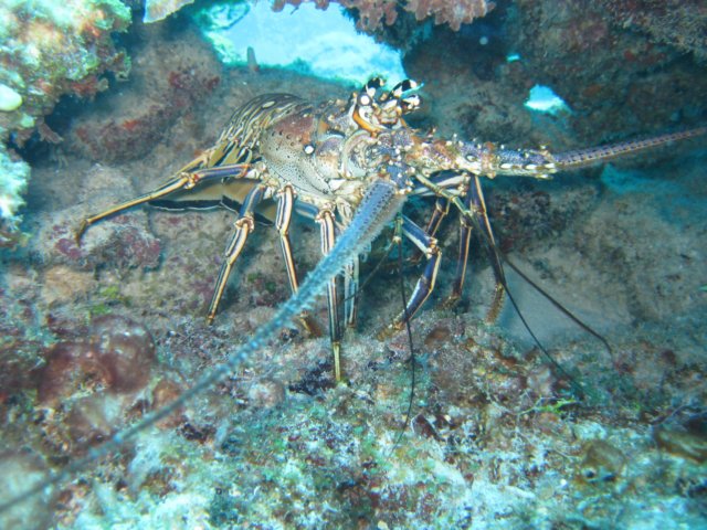 img_3504.jpg