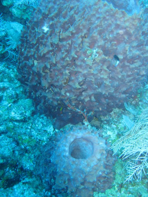 img_3575.jpg