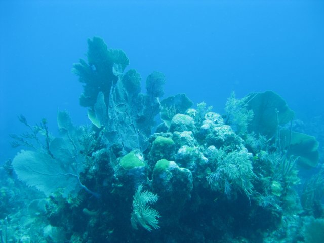 img_3617.jpg