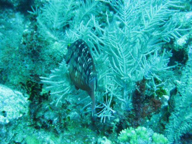 img_3620.jpg