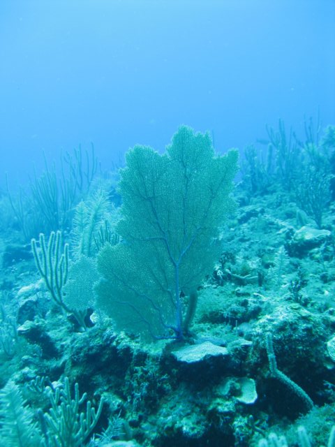 img_3622.jpg