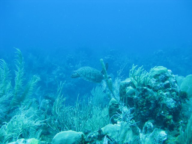 img_3628.jpg
