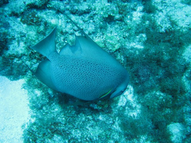 img_3636.jpg