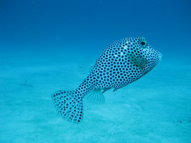 img_3648.jpg