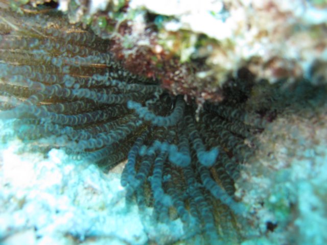 img_3662.jpg