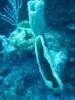 img_3715_small.jpg