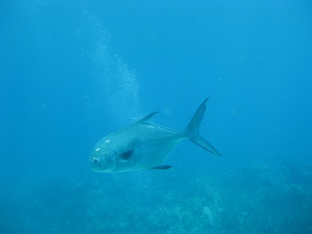 img_3835.jpg