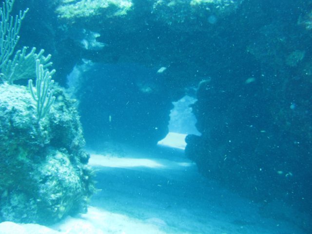 img_3844.jpg