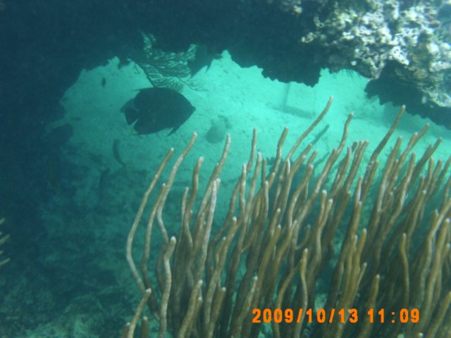 pict0020.jpg
