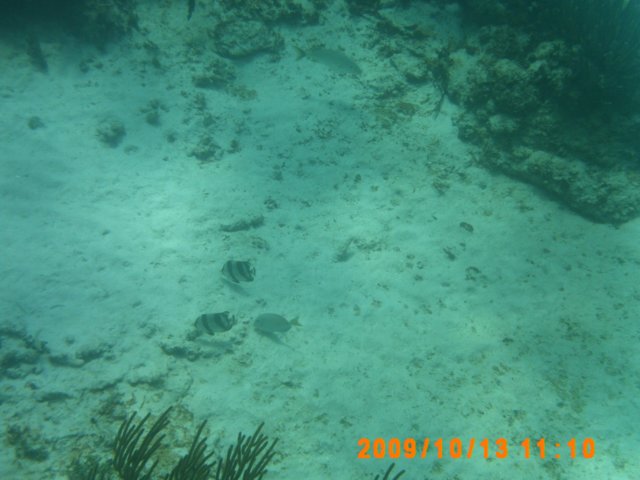 pict0025.jpg
