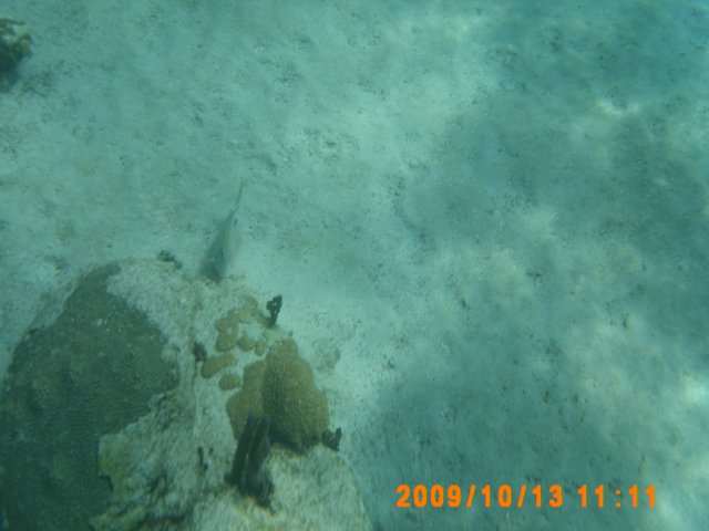 pict0026.jpg
