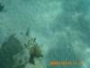 pict0026_small.jpg