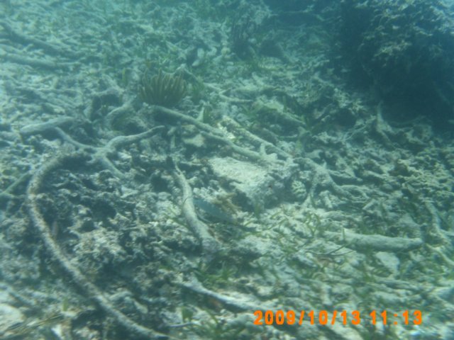 pict0030.jpg