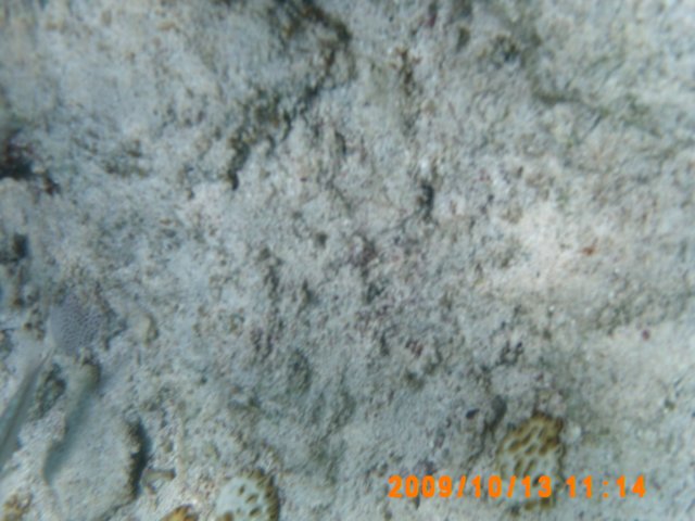 pict0032.jpg