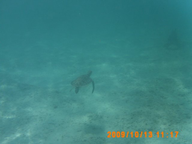 pict0035.jpg