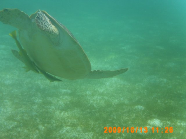 pict0041.jpg