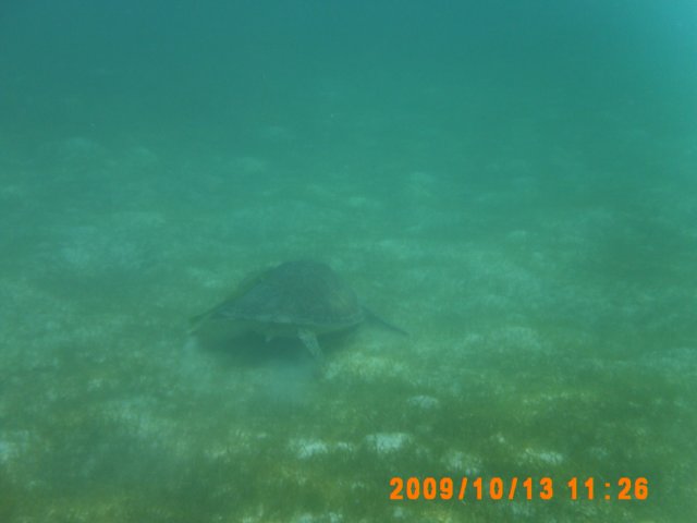 pict0043.jpg