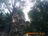 pict0045_small.jpg