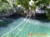 pict0065_small.jpg