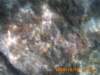 pict0080_small.jpg