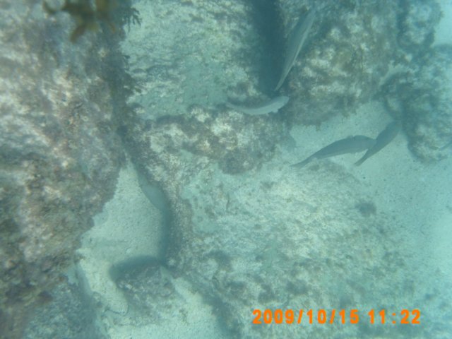 pict0081.jpg