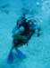 img_4646a_small.jpg