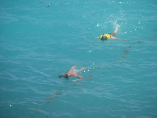 img_0393.jpg