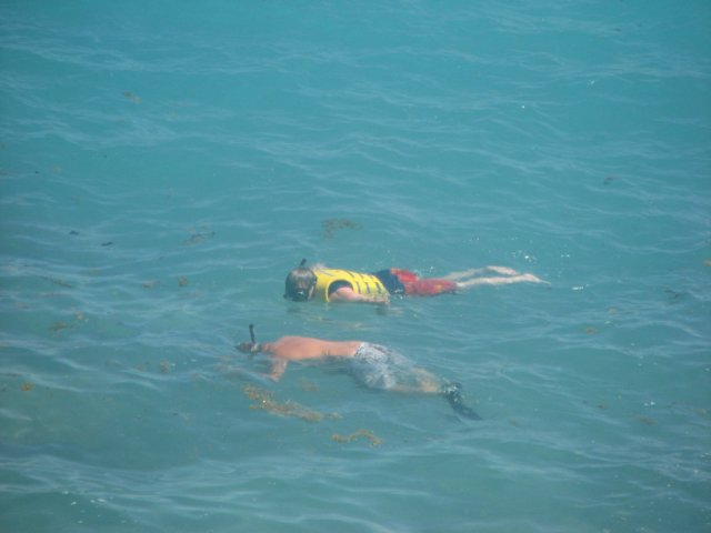 img_0399.jpg