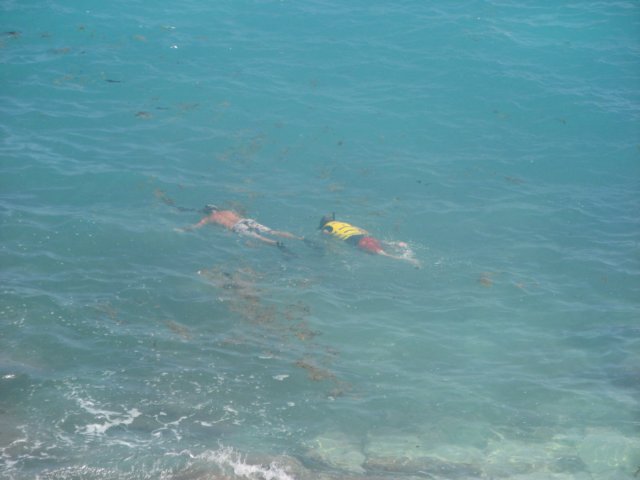 img_0401.jpg