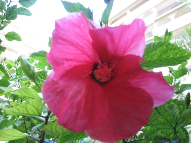 img_0417.jpg