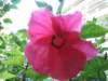 img_0417_small.jpg