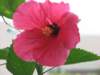 img_0420_small.jpg