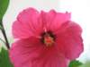 img_0421_small.jpg