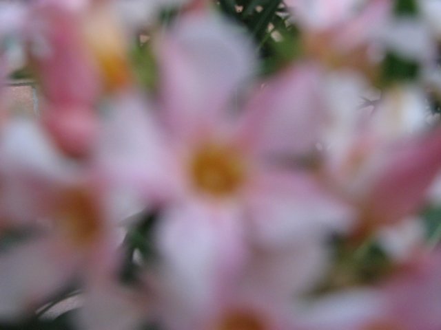 img_0425.jpg