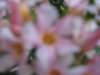 img_0425_small.jpg