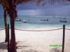 pict0001_small.jpg