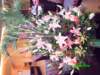 pict0001a_small.jpg