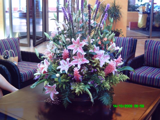 pict0002.jpg