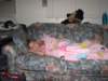 img_0265_small.jpg