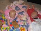 img_0010_small.jpg
